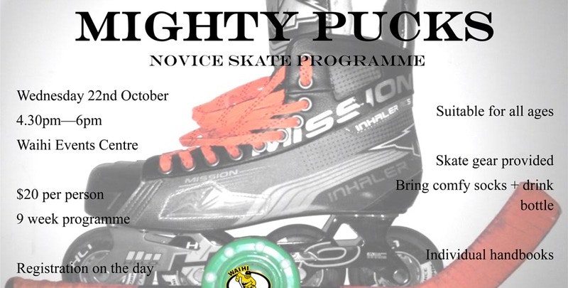 Mighty Pucks Learn To Skate 2014